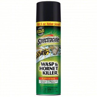 Spectracide Wasp and Hornet Killer