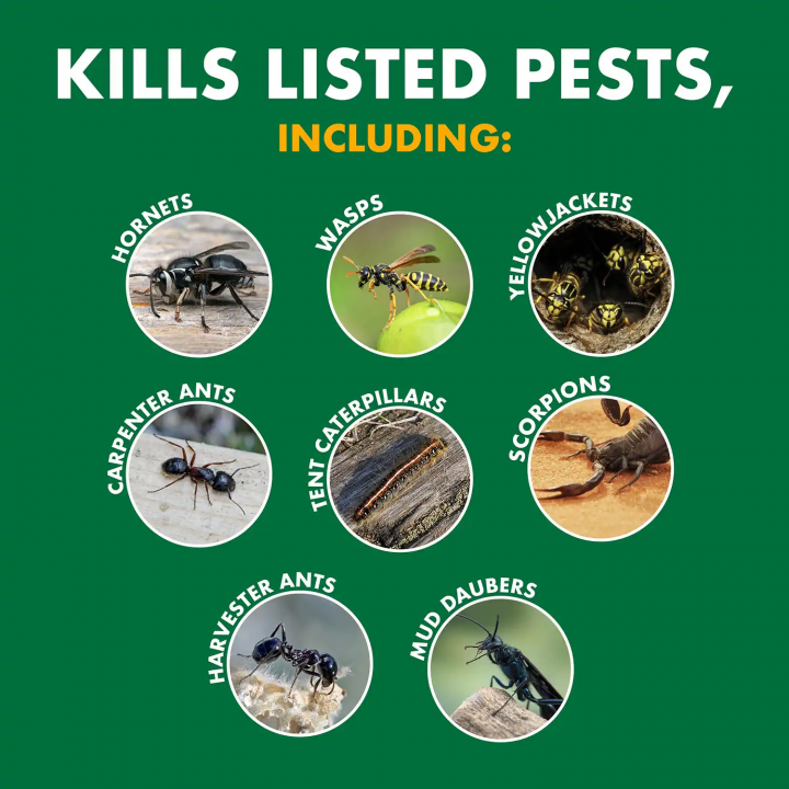 Spectracide Wasp and Hornet Killer